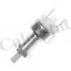 CALORSTAT by Vernet BS4528 Brake Light Switch